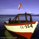 Puerto Varas (Llanquihue-See) in Chile am 10.02.1995.