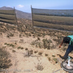 Die Nebelfänger von Chungungo, einem Fischerdorfes am Rande der nordchilenischen Wüste, ca. 60 km nördlich von La Serena, Chile am 25. Januar 1995.
Die an den Bergen vom Meer aufsteigenden Nebelschwaden (Camanchaca) werden in Netzen am Berggipfel aufgefangen, und durch Kondensation wird Süßwasser gewonnen. Mit dem Projekt "Camanchaca" wird circa 75% des Wasserbedarfs des Dorfes gedeckt.