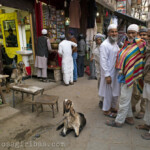 Straßenszene im Stadtteil Nizamuddin in New Delhi, Indien am 05.02.2014.