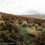 Geisers del Tatio in der Nähe von San Pedro de Atacama, Chile am 15.01.2001.