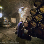 Fäßerlager in der Kellerei Lopez de Heredia in Haro, Spanien am 18.07.2013.