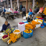 Straßenszene in der Chandni Chowk Markt in New Delhi, Indien am 06.02.2014.
Blumenverkaeuferin.