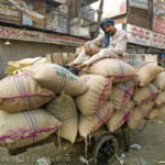 Arbeiter auf dem Gewürzmarkt in New Delhi, Indien am 06.02.2014.