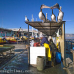 Bucht Portales (Caleta Portales) in Valparaiso, Chile am 04.11.2014.