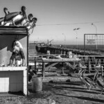 Bucht Portales (Caleta Portales) in Valparaiso, Chile am 05.11.2014.
Pelikane.