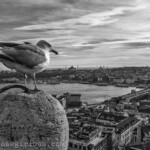 Übersicht von Viertel Karakoey bis zum Galata Brücke in Istanbul, Tuerkei am 28.12.2014.