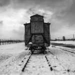 Viehwagon für den Transport der Gefangenen an der Judenrampe im Konzentrationslager Birkenau (Auschwitz II) in Auschwitz (Oswiecim, Polen), 26.01.2015.