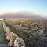 Salar de Atacama in der Atacama Wueste, Chile am 14.01.2001.