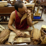 Zigarrenfabrik Partagas in Havanna/Kuba am 15.12.2004.